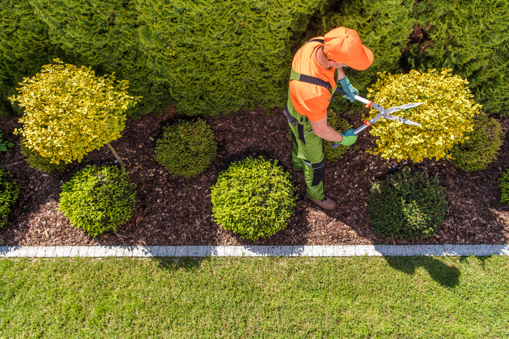 https://elite-team-llc.com/wp-content/uploads/2024/01/gardening-shutterstock_1408018253.jpg