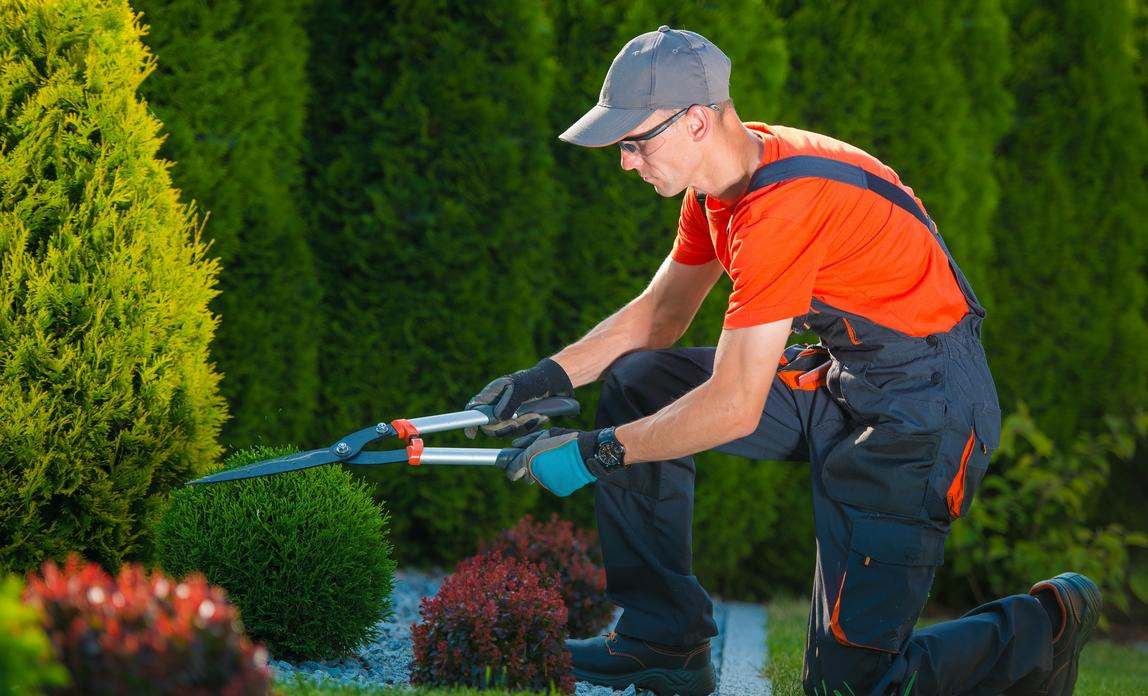 https://elite-team-llc.com/wp-content/uploads/2024/01/gardenservices.jpg
