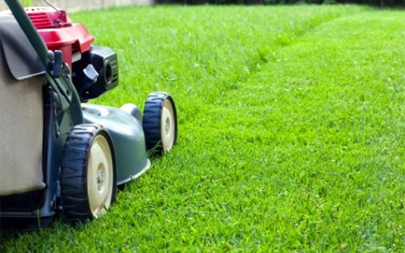 https://elite-team-llc.com/wp-content/uploads/2024/01/mowing-services-thumbnail.webp